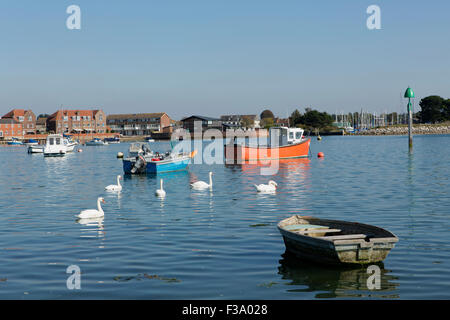 Collection of small boats or tenders in Chichester harbour at Emsworth. Swans can be seen amongst the mixed boats Stock Photo