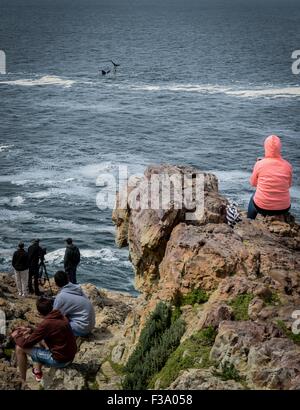 (151002) -- HERMANUS (SOUTH AFRICA), Oct. 2, 2015 (Xinhua) -- A visitor looks at a southern right whale during the Hermanus Whale Festival in Hermanus, South Africa, on Oct. 2, 2015. The annual Hermanus Whale Festival kicked off here Friday, celebrating the returning of the southern right whales to this bay during the calving and mating season. More than 100,000 visitors are expected to come to Hermanus, which is known as the best land-based whale watching destination in the world. (Xinhua/Zhai Jianlan) Stock Photo