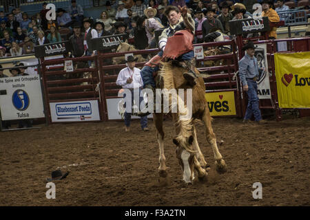 Cowboy riding bucking horse during rodeo in Oklahoma City, Oklahoma, USA. Stock Photo