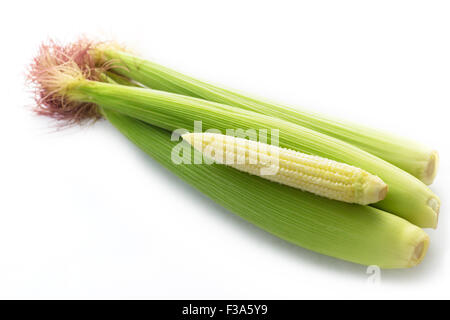 Baby corns isolated on white background and clipping path Stock Photo