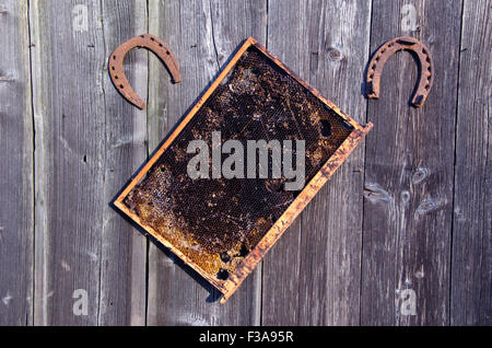 honeycomb with two lucky symbol horseshoes hanging on rustic wooden background Stock Photo