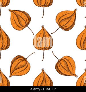 Sketch physalis in vintage style, vector seamless pattern Stock Vector