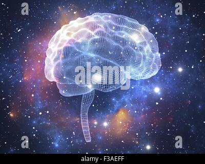 Computer artwork of the human brain. Wireframe illustration seen from ...