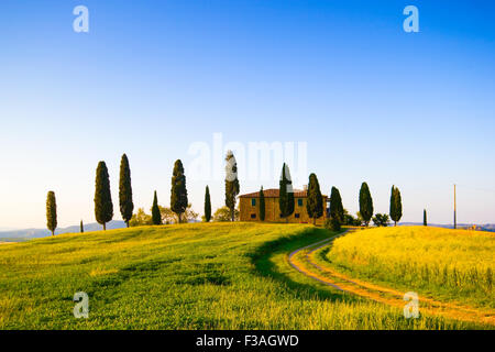 Tuscany, country landscape with meadow, cypress trees and lonely farmhouse. Italy Stock Photo