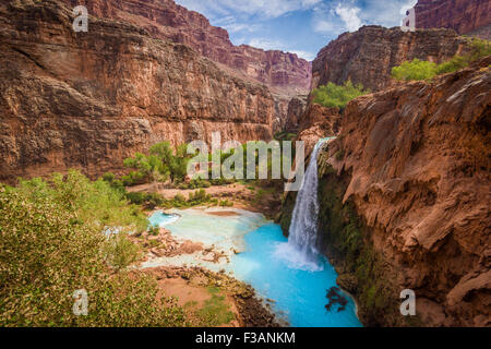 Arizona, Grand Canyon, Havasu Falls into the Havasupai Indian Reservation. Stock Photo