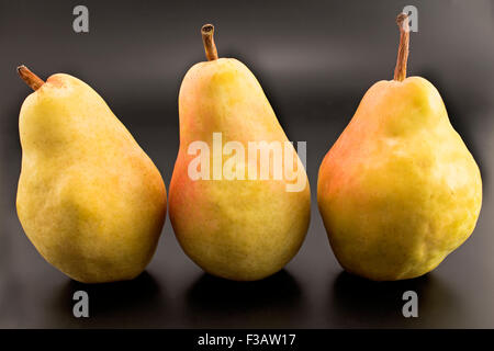 Three pears isolated on the black. Stock Photo