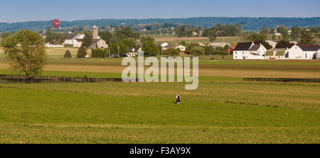 Lone Amish woman crossing a corn field Lancaster County Pennsylvania Stock Photo