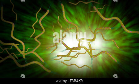 3D computer generated microscope close up of curly shaped Spirella bacteria Stock Photo