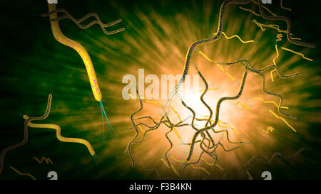 3D computer generated microscope close up of curly shaped Spirella bacteria Stock Photo