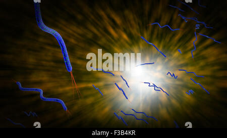 3D computer generated microscope close up of curly shaped Spirella bacteria Stock Photo