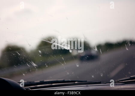 Dead flies splattered on a car windscreen Stock Photo