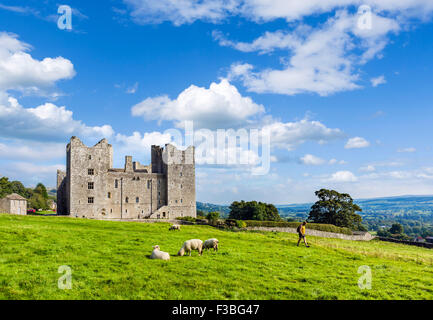 Walker near Bolton Castle, Castle Bolton, Wensleydale, Yorkshire Dales, North Yorkshire, England, UK Stock Photo