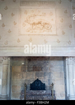 Dragon bass-relief over a fireplace of Chateau of Azay-le-Rideau Stock Photo