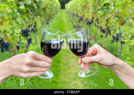 Male and female hand toasting with red wine in path of vineyard with rows of grape plants Stock Photo