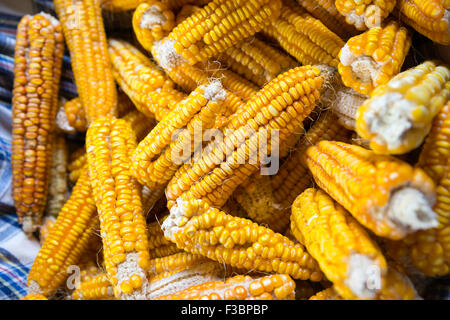 Yellow colored organic raw corn cobs in a basket. Textured effect with yellow corn kernels in cobs Stock Photo