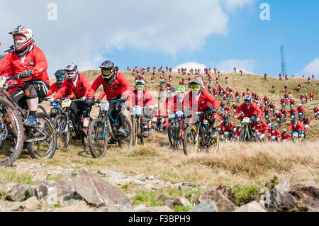 Rostrevor, Northern Ireland. 04 Oct 2015 - Competitors stream over the hill at the start of the Red Bull Foxhunt mountain bike downhill challenge Credit:  Stephen Barnes/Alamy Live News Stock Photo