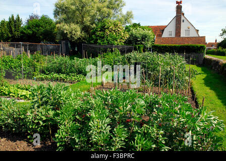 Vegetable garden in Winchelsea East Sussex England UK Europe Stock Photo