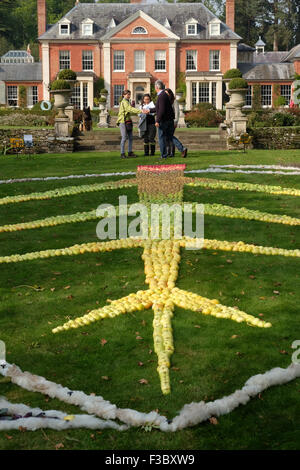 Newport House, Almeley, Herefordshire UK - Sunday 4th October 2015 - Opening day for the Out of Nature sculpture exhibition featuring over 200 pieces of work from 40 artists displayed in the formal gardens of Newport House. This piece is Land Art a work in progress by artist Tamsin Gear made from apples and other natural products. The exhibition runs until October 25th 2015. Stock Photo