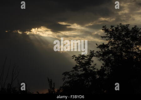 Sun rays pass trough stormy clouds above the trees canopy Stock Photo