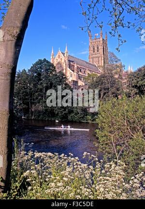 Cathedral Church of Christ and the Blessed Virgin Mary on the banks of the river Severn with rowers passing by, Worcester, UK. Stock Photo