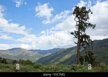 Bale Mountains National Park, Ethiopia, Africa Stock Photo