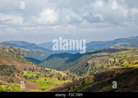 Bale Mountains National Park, Ethiopia, Africa Stock Photo