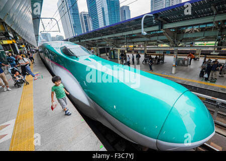 Hayabusa E5 Shinkansen bullet train of East Japan Railways at Tokyo Station Japan Stock Photo