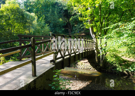 Timber footbridge over the Skelton Beck stream in the Saltburn Valley Gardens North Yorkshire England Stock Photo