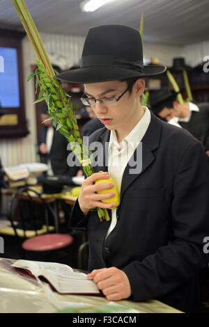 A religious young man holding an esrog & lulav at morning Sukkot prayers in a synagogue in Queens, New York Stock Photo