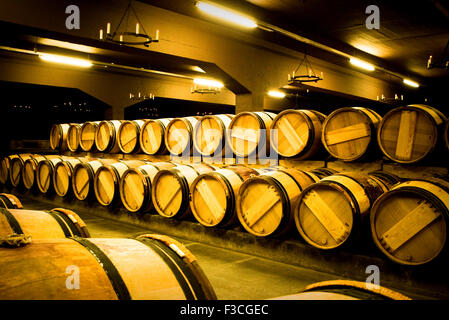 Wooden wine casks in wine cellar Stock Photo