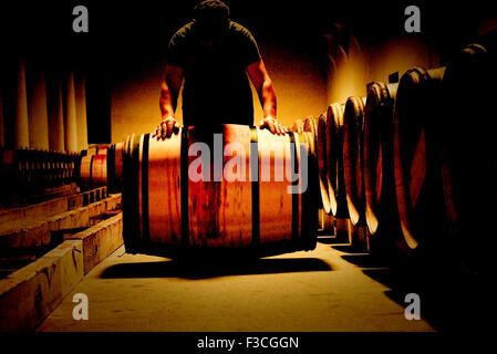 Vintner rolling wine cask in wine cellar Stock Photo