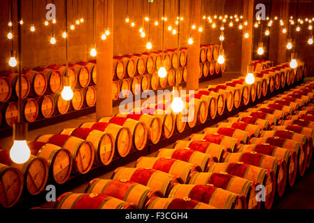 Wine casks in wine cellar Stock Photo