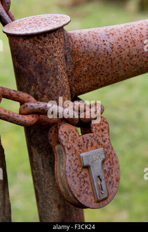 Rusty Padlock fastening metal gate with chain. Stock Photo