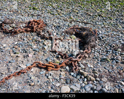 Old rusty chain and link on stony beach, UK. Stock Photo