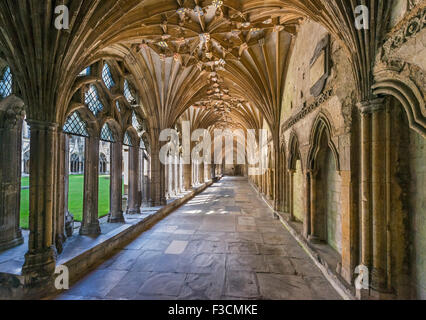 The Cloisters, Canterbury Cathedral, Canterbury, Kent, England, UK