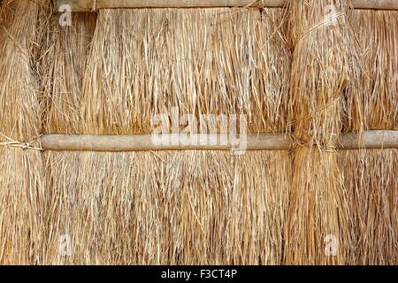 The wall of a native hut made from straw and bamboo Stock Photo