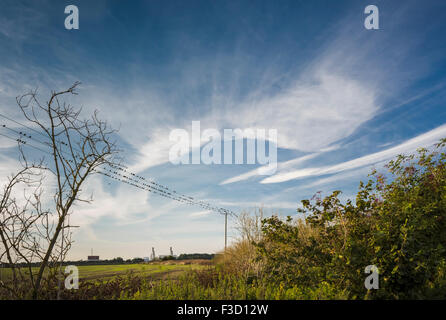 Looking across the fenlands on the outskirts of Peterborough, Cambridgeshire, England Stock Photo