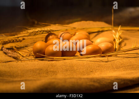Eggs in the nest on sacking Stock Photo