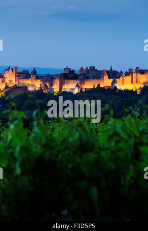 Vineyards medieval fortified fortress wall castle dusk Carcassonne Aude Languedoc Rosellón France Europe Stock Photo