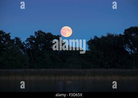 Full Moon Rising over Hickling Broad Norfolk UK Stock Photo
