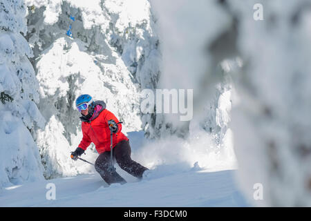 Mature woman skiing between trees covered with snow Stock Photo