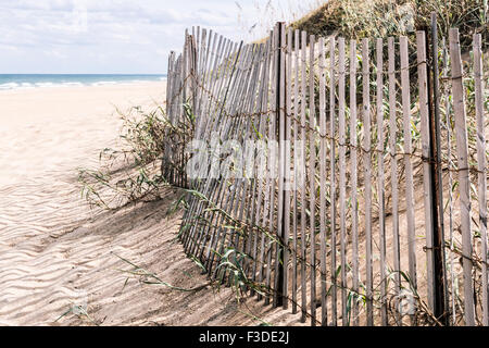 Beach Grass and Dunes with Pickett Fence Stock Photo