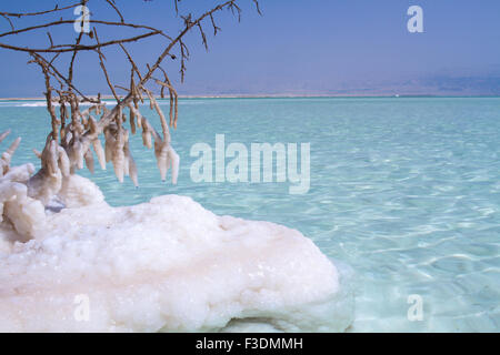 Beautiful photo coast of the Dead Sea , Israel . Stock Photo