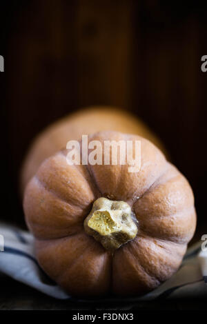 A butternut squash. Stock Photo