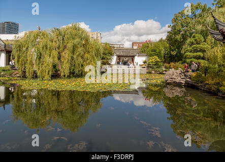 Garden and sky reflections in Dr. Sun Yat-Sen Classical Chinese Garden & Park, in Chinatown, Vancouver, British Columbia, Canada Stock Photo