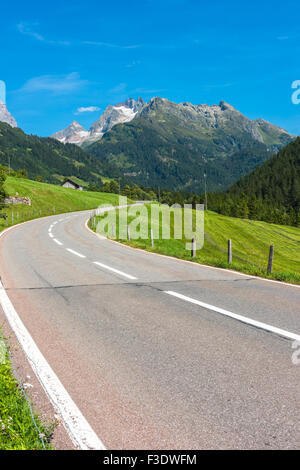A vertical shot of a narrow asphalt road through tall trees in a forest ...
