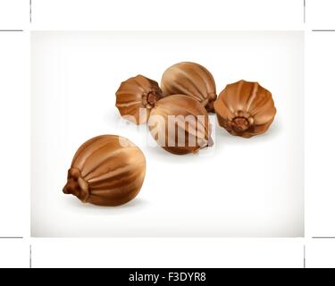 Coriander, vector icon Stock Vector