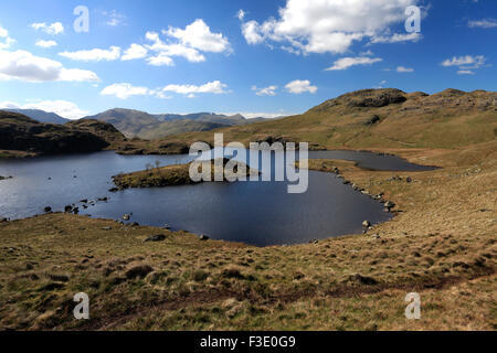 View over Angle Tarn, Angletarn Pikes, Lake District National Park, Cumbria County, England, UK. Stock Photo