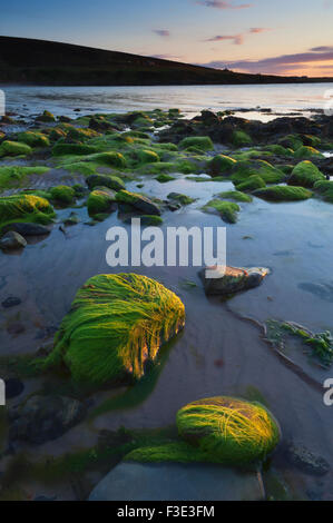 Sunset at the Sands of Mussetter on the island of Eday, Orkney Islands, Scotland. Stock Photo