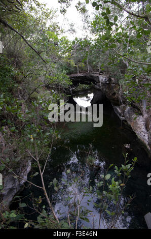 Stone bridge over green pool on the island republic of Cuba Stock Photo